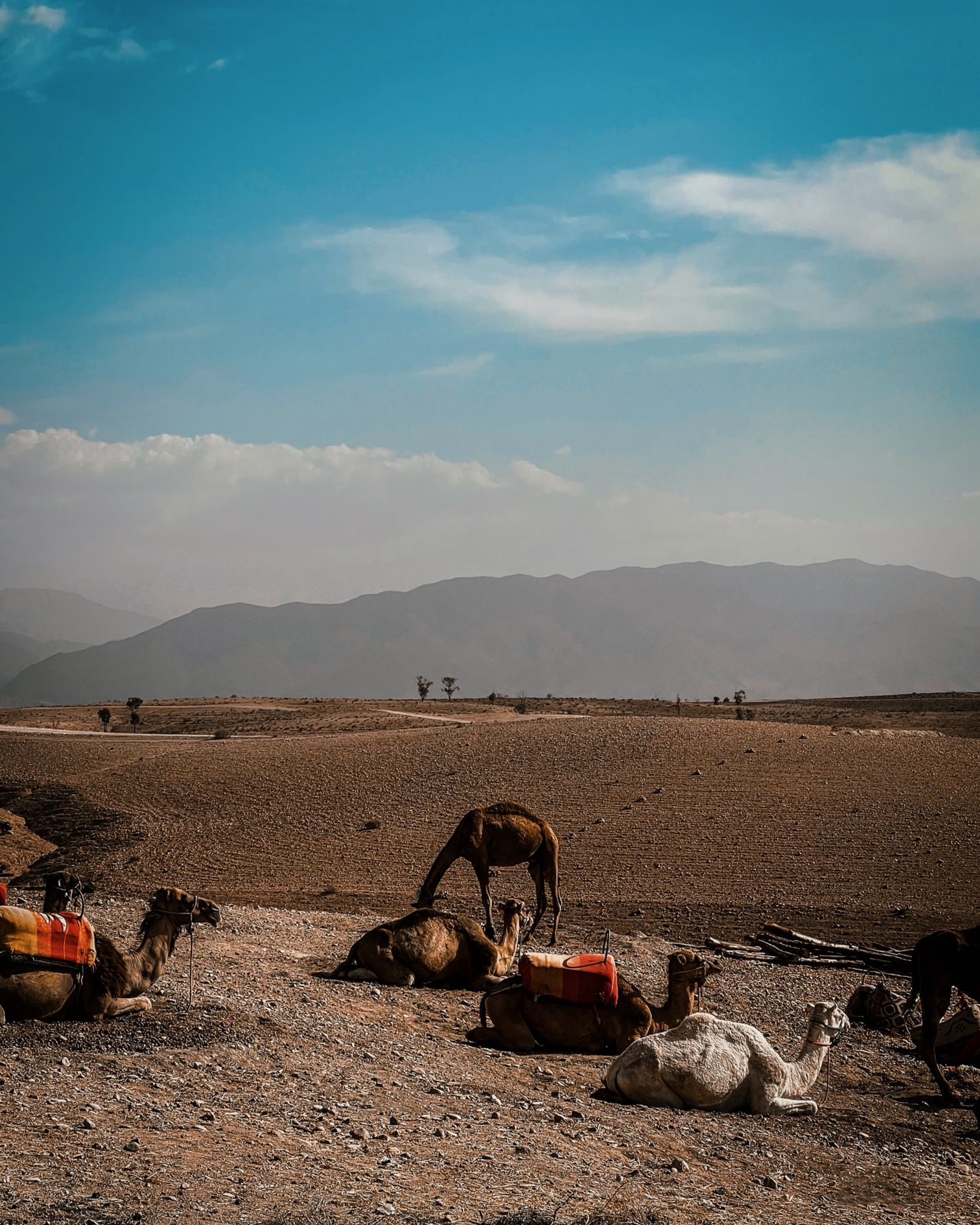 Morocco