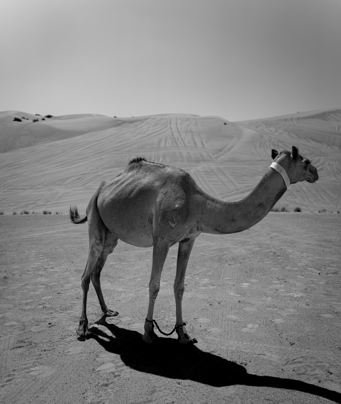 Oman