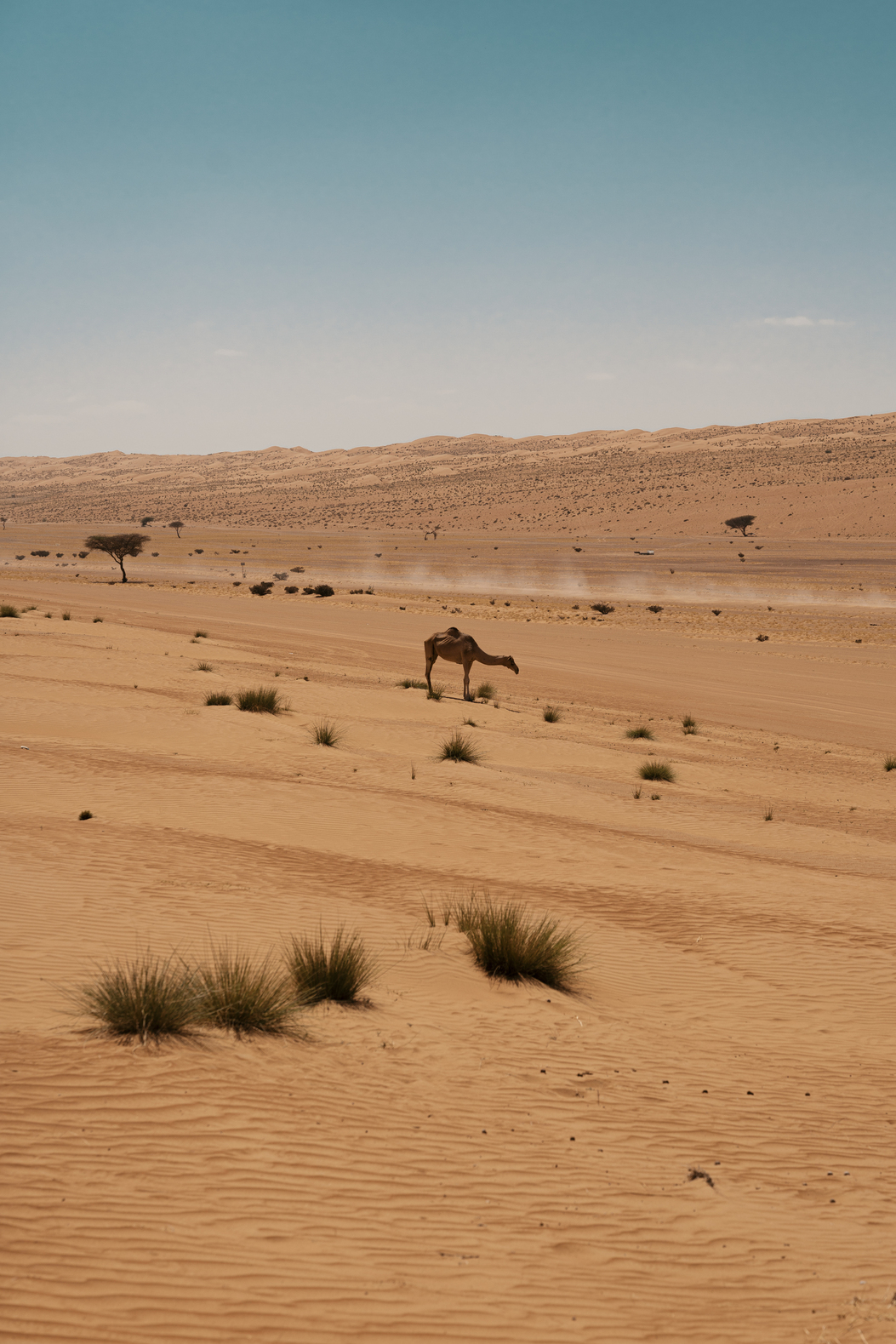Oman