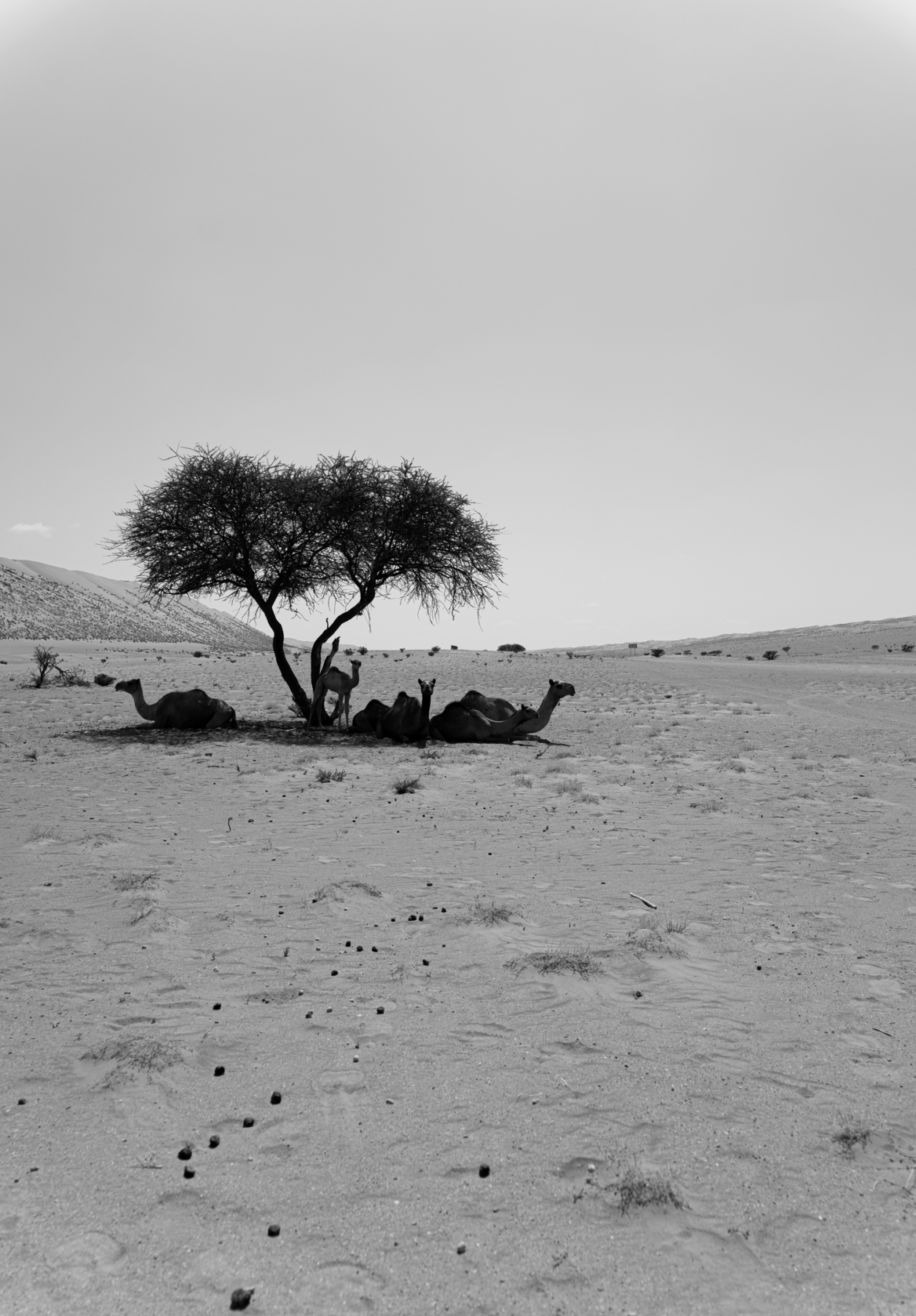 Oman